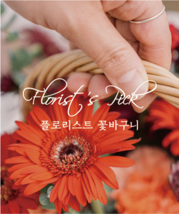 florist&#039;s pick 꽃바구니 (6만원~)